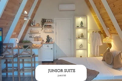 Vadi Bungalov Sapanca / Junior