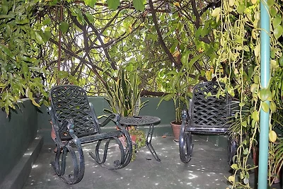 Casa Rolando y Dra. Elodia