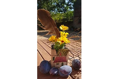 Casa vacanze Vacanza di relax Schleiz