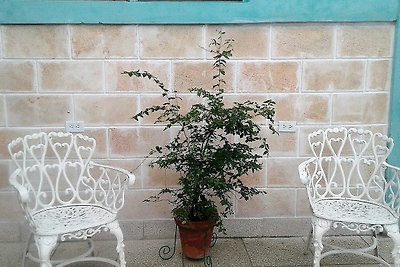 Hostal ricardo y martha Appartement