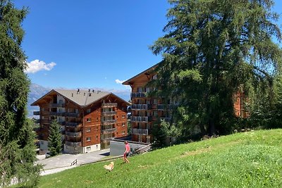 Vakantieappartement Gezinsvakantie Haute-Nendaz