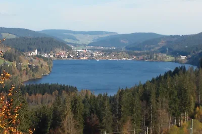 Appartamento Vacanza con famiglia Feldberg