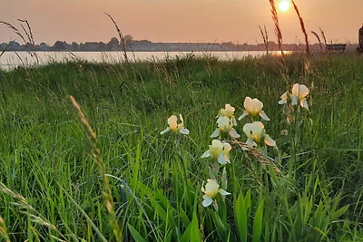 Vakantieappartement Gezinsvakantie Schwanewede