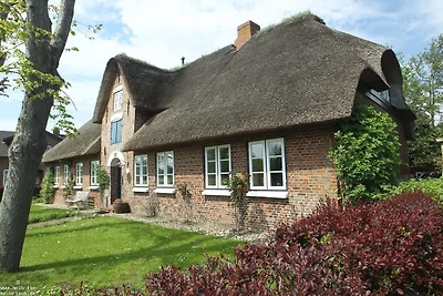 Vakantiehuis Ontspannende vakantie Oldsum