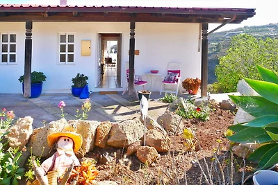 Casa Rosa, Arico Viejo/ La Sabinita