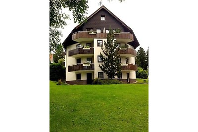 Vakantieappartement Gezinsvakantie Hahnenklee