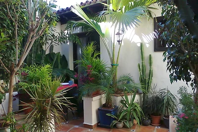 Apartamentos Monasterio de San