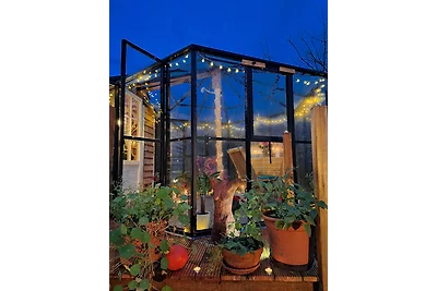 Tiny Haus - Sternenblick - Sauna