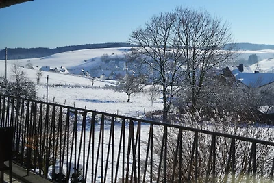 Vakantiehuis Ontspannende vakantie Eslohe