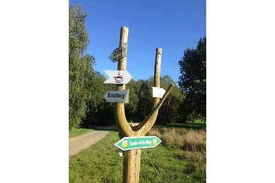 Tiny House - Auszeit im Wald am