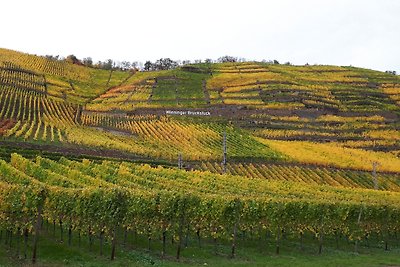 Vakantiehuis Ontspannende vakantie Koblenz