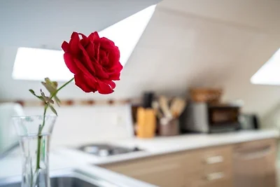 Ferienwohnung Seebusch