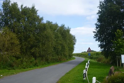 Vakantieappartement Gezinsvakantie Dornum