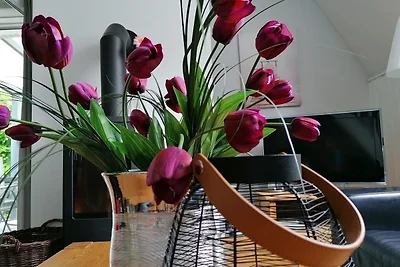 Casa vacanze Vacanza di relax Harlesiel