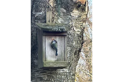 IM BAU Herrmannshof Haby App 5