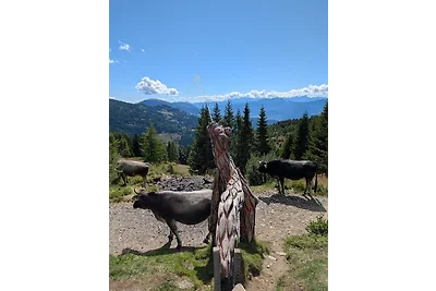 Vakantieappartement Gezinsvakantie Bad Kleinkirchheim