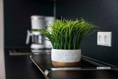 Casa su barca Vacanza single Vetschau