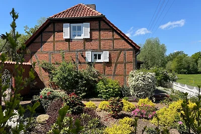 Elbwiesenhaus mit schönen Garten