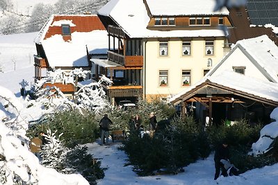 Ferienwohnung Dreisamtal - Maierhof