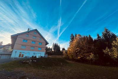 Vakantieappartement Gezinsvakantie Feldberg