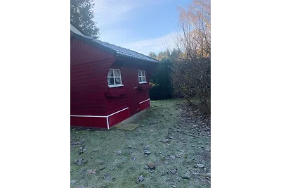 Gepflegtes Ferienhaus am Dankernsee