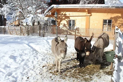 Schlosswirt Chalet II