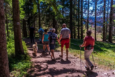 Appartamento Vacanza con famiglia Feldberg
