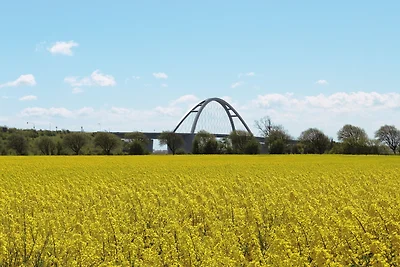 Kleingarn - "Meeresblick" Nr. 7
