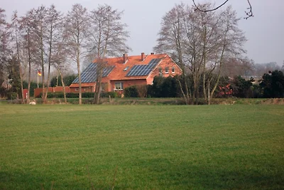 Haus Flicka