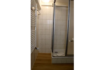 Schwarzwaldhaus Wiesenblick - App.