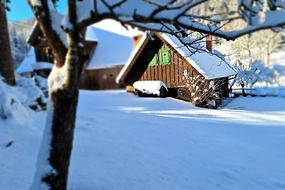 Casa vacanze Vacanza di relax Bad St. Leonhard im Lavanttal