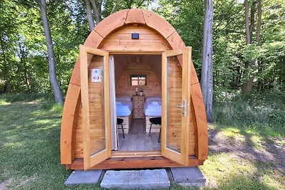 39 Mini Pod "Treene"