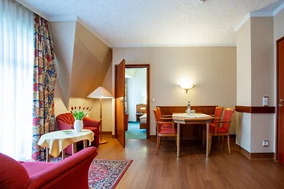 2 Raum Apartment grosser Balkon