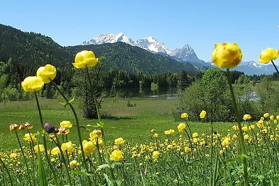Ferienwohnung KARWENDEL ****