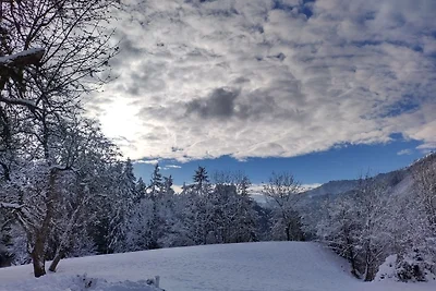 Vakantiehuis Ontspannende vakantie Pfarrwerfen