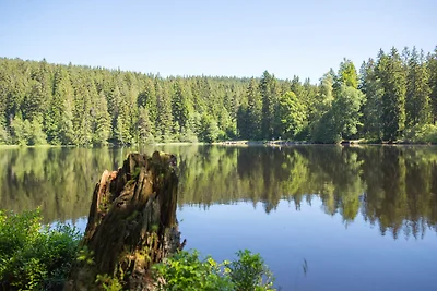 Drei Tannen - Wohnung 04 -