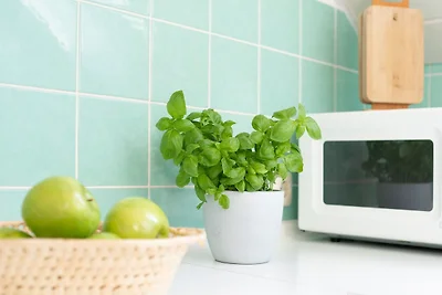 Am Brook 3 Strandliebe Dahme