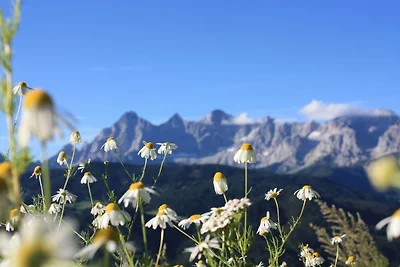 Hüttenurlaub Chalet Dachstein