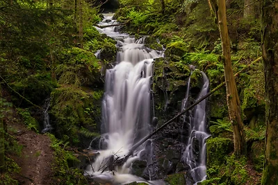 Vakantieappartement Gezinsvakantie Bernau im Schwarzwald