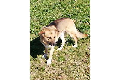 Vakantieappartement Gezinsvakantie Kitzingen