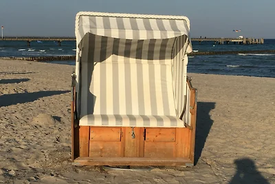 Meerblick 11 - Seemöwe