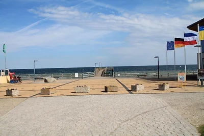 Ostseekoje Koje 6