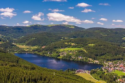 Fewo Sunneschii, Höchenschwand