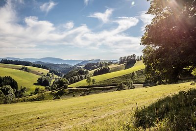 Vakantieappartement Gezinsvakantie Hofsgrund