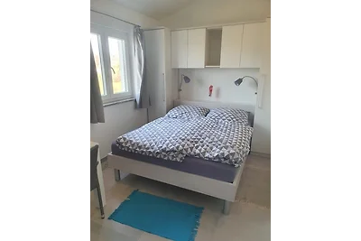 Olivia Valkanela App. 3