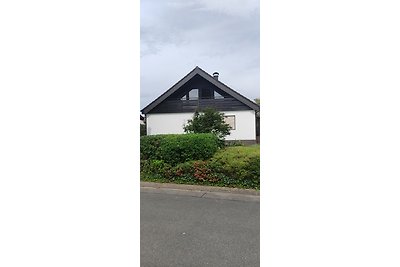 House + Garden close to Frankfurt