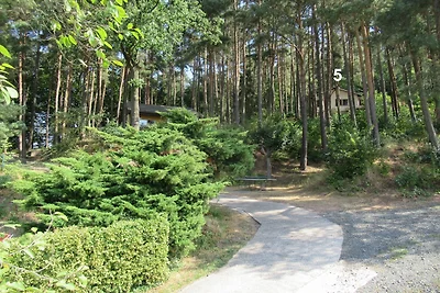 Feriendorf Mengshausen 5