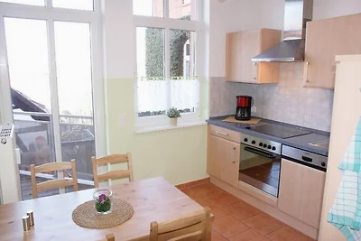 Seestern am Hafen - ABC139