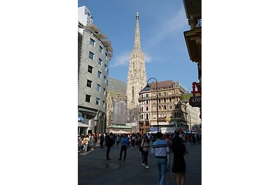 Fitness-Apart. A25 Stephansdom (2