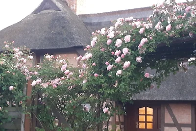 Vakantieappartement Gezinsvakantie Fuhlendorf